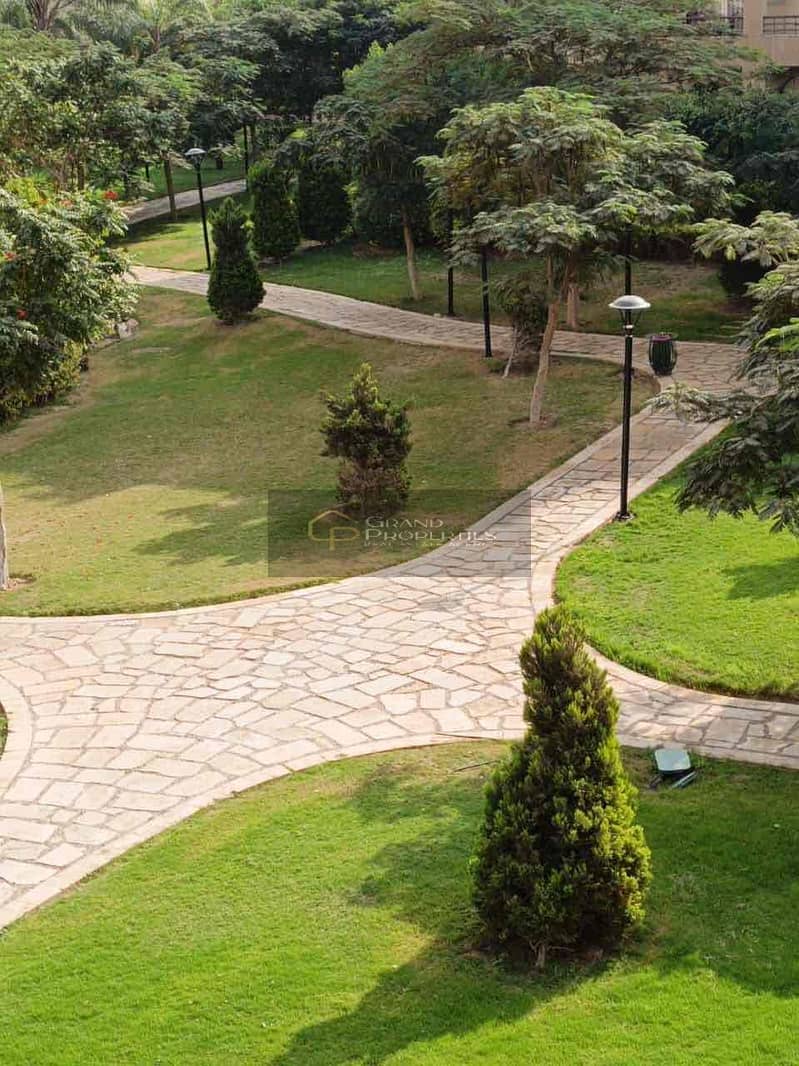 7 7f371a28-dafd-41a2-a673-447481336d5a. jpg