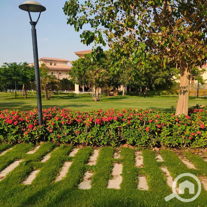 2 06694a7e-3c42-43b4-8f46-71dc4371a429. jpg