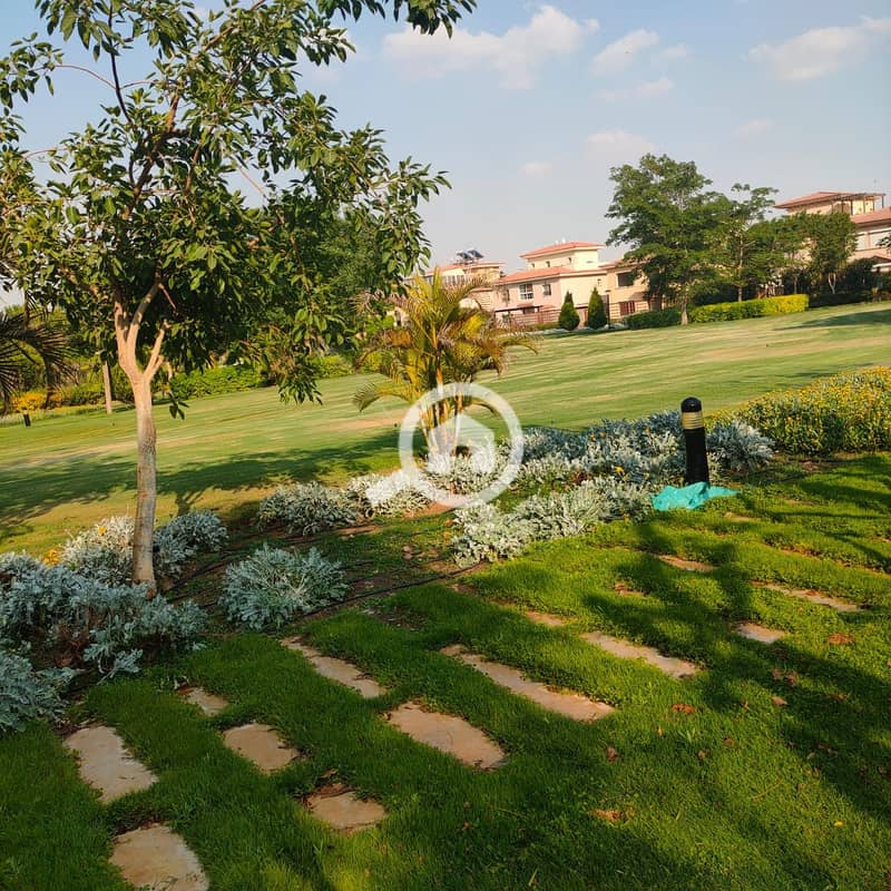 3 6b1a47a9-a80a-4f24-82a1-c347f674314f. jpg