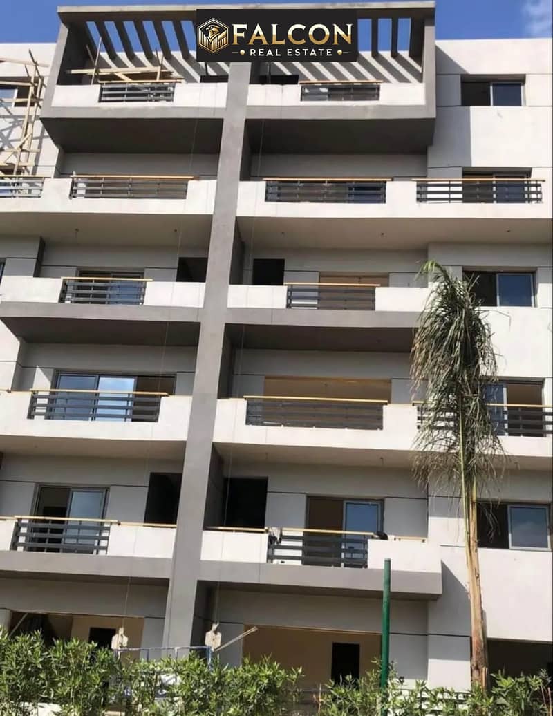 12 461928847_122119784918455700_5441415181702589350_n. jpg