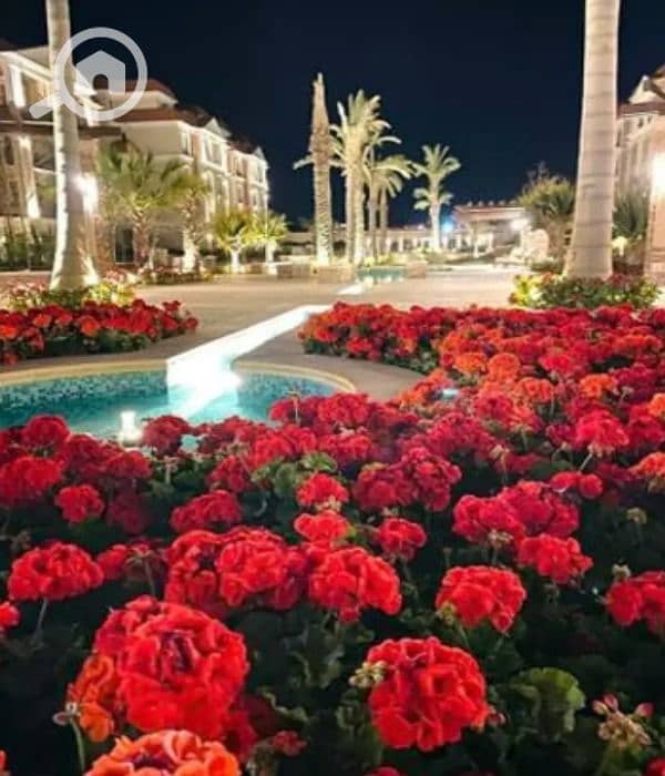 4 5446e2b4-55a4-4f9d-8ed5-3c9d7239c0e6. jpg