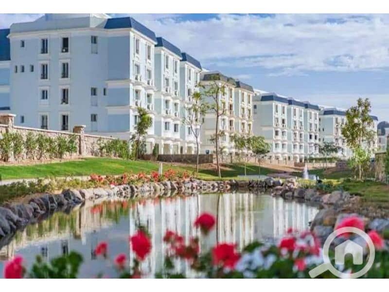 12 7683206-2617bo. jpg