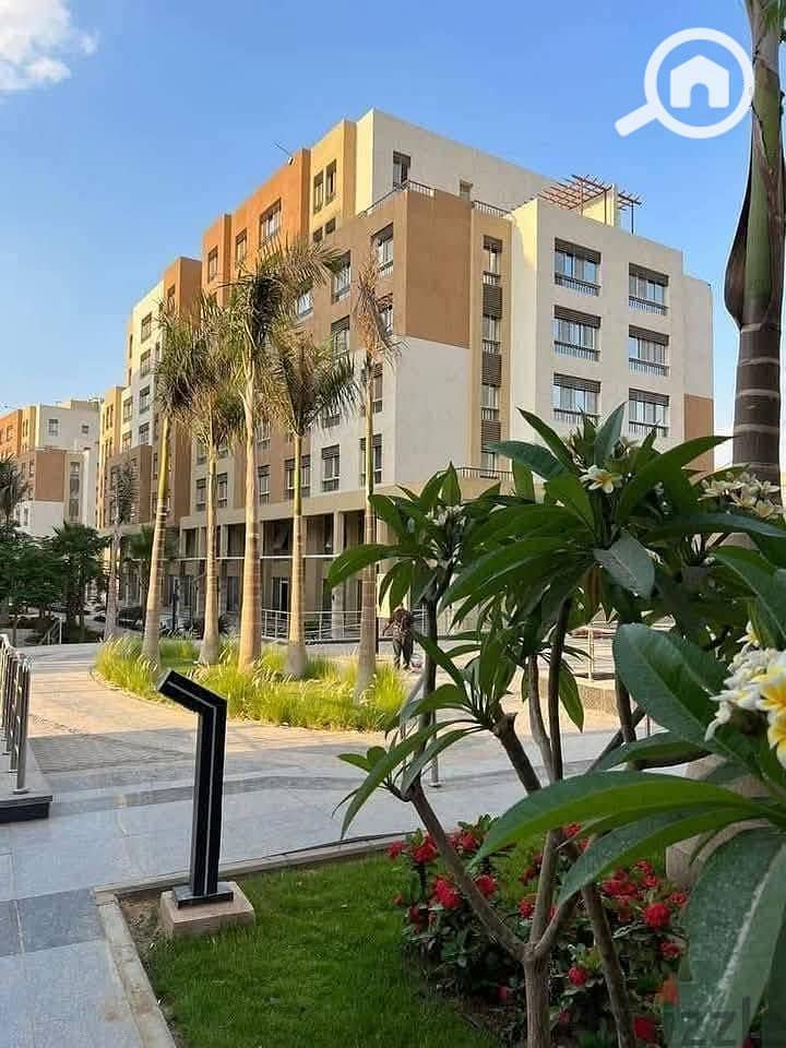 518961106_737579938988396_2636369926446644305_n. jpg 518961106_737579938988396_2636369926446644305_n. jpg