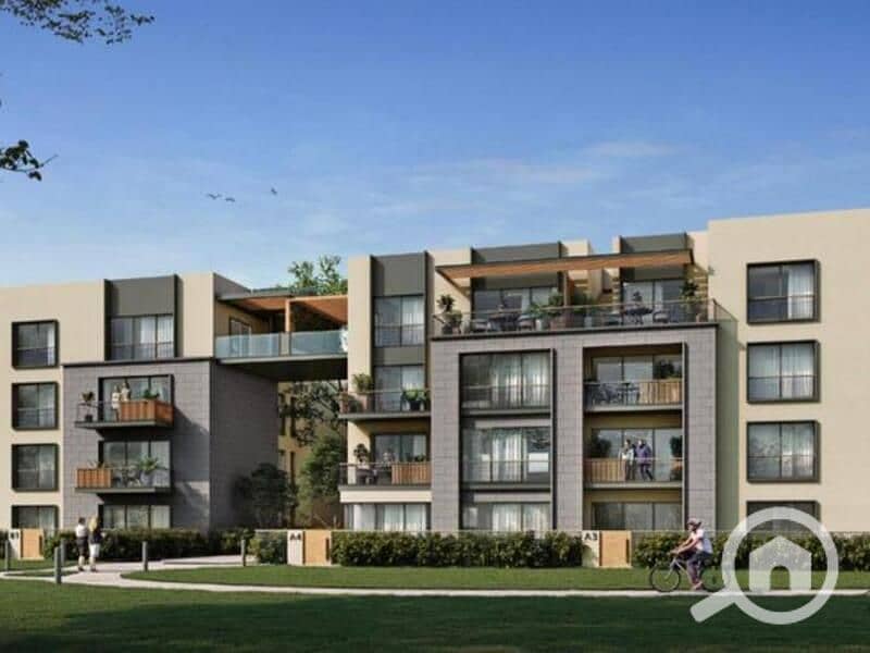 10 4457834-fdb82o. jpg