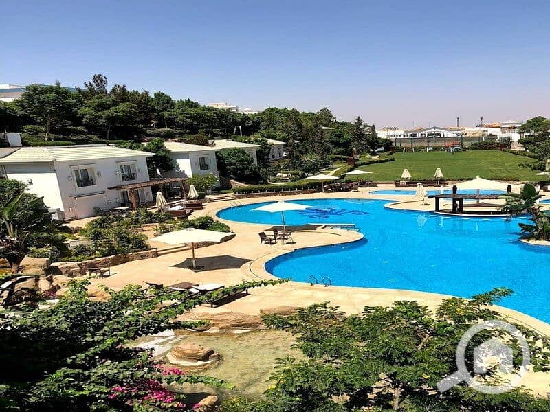 3 297992132_591653669204682_964118664472731972_n-copy-0. jpg