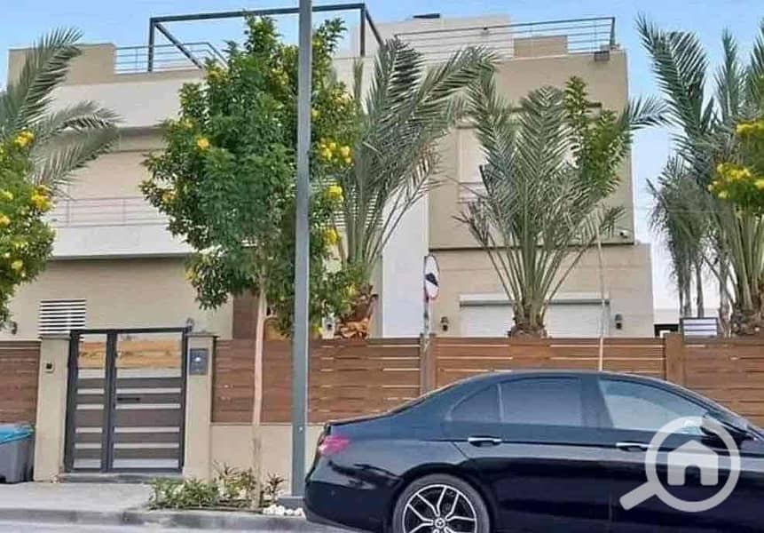 IMG_3317. jpg IMG_3317. jpg