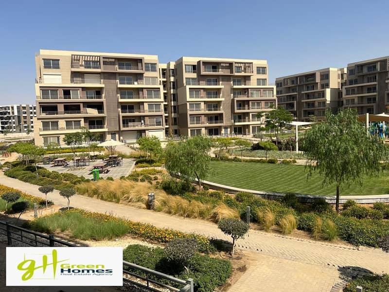 3 WhatsApp Image 2025-08-17 at 12.41. 15. jpeg