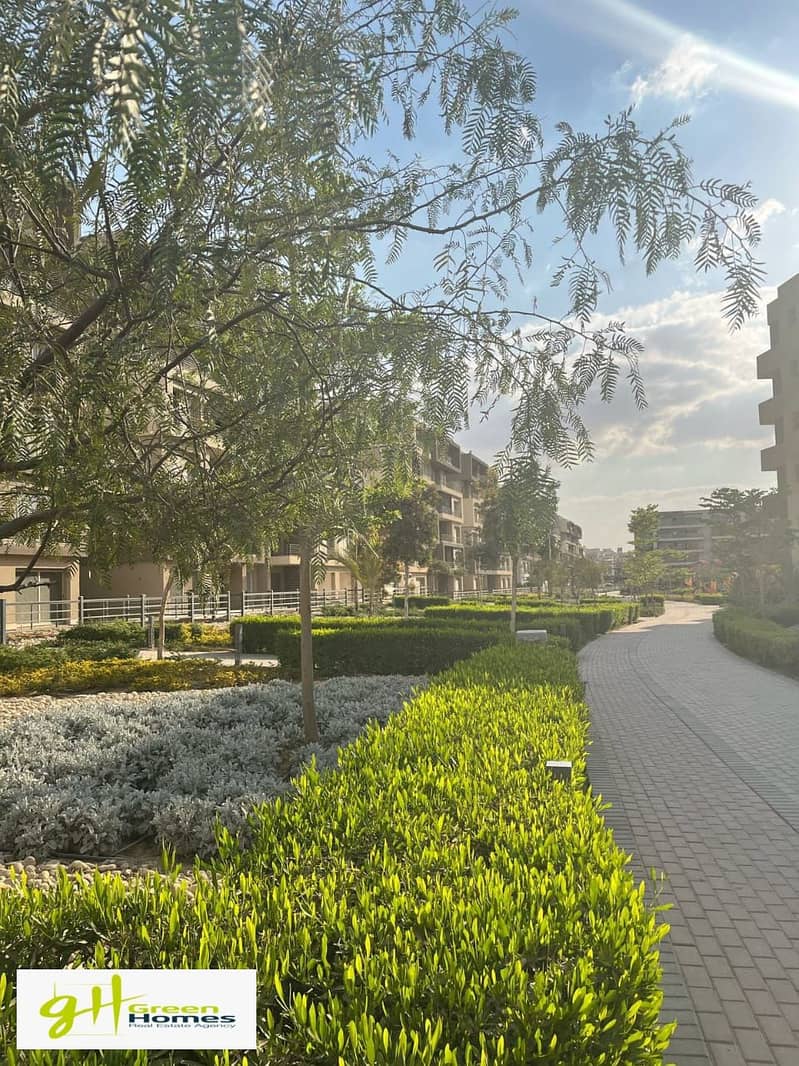 5 WhatsApp Image 2025-08-17 at 12.41. 17. jpeg