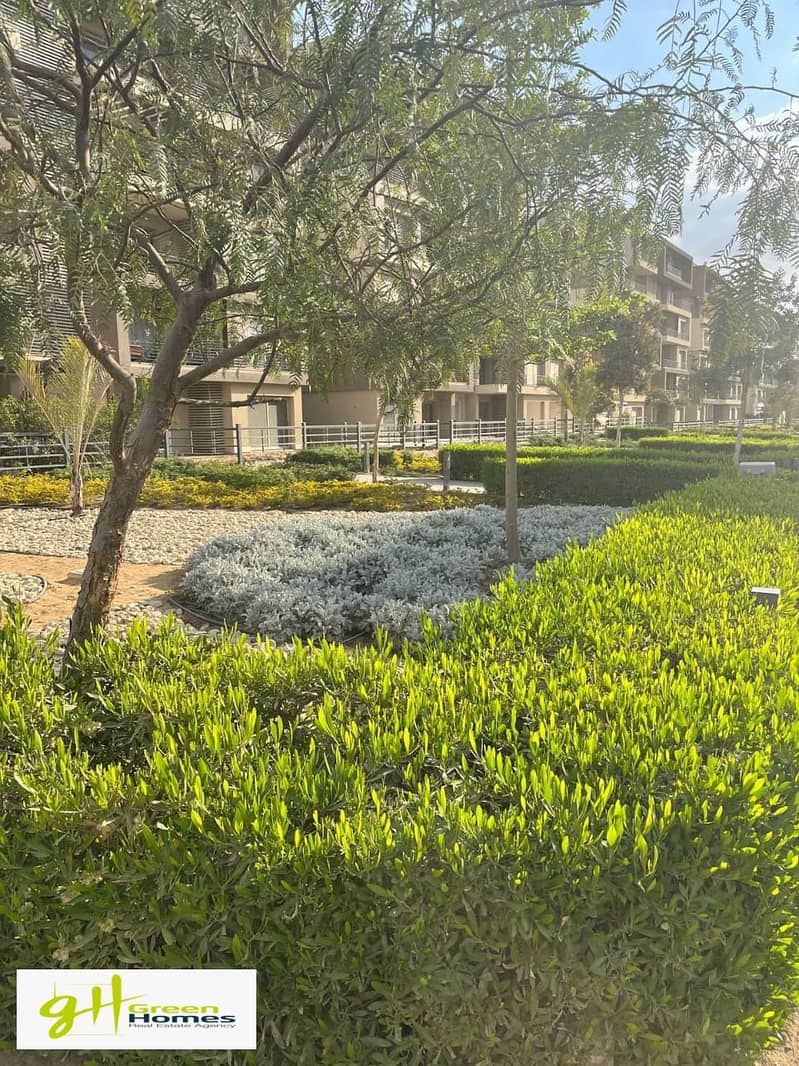 6 WhatsApp Image 2025-08-17 at 12.41. 19. jpeg