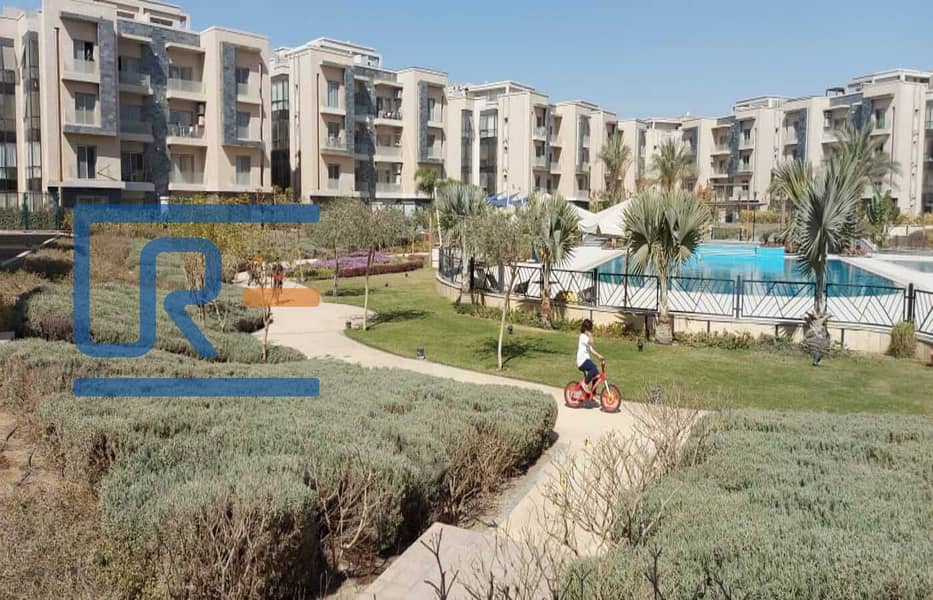 4 f8fa3d6d-5c32-4bcb-8d46-6e3c9e5c9280. jpg