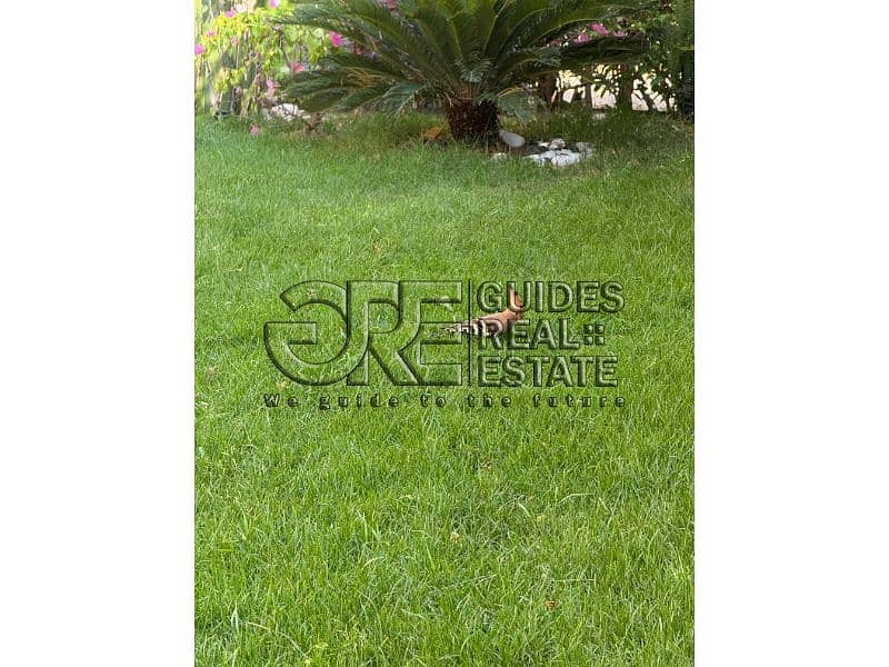 26 IMG-20251021-WA0028. jpg