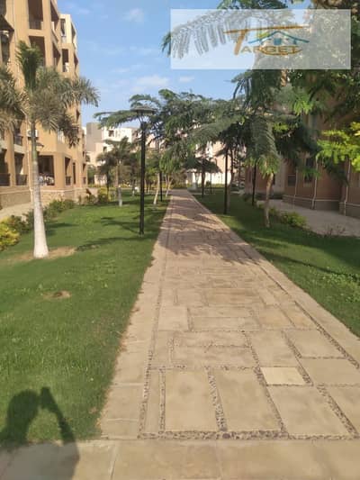 3 Bedroom Flat for Rent in Madinaty, Cairo - WhatsApp Image 2025-11-09 at 2.32. 48 PM. jpeg