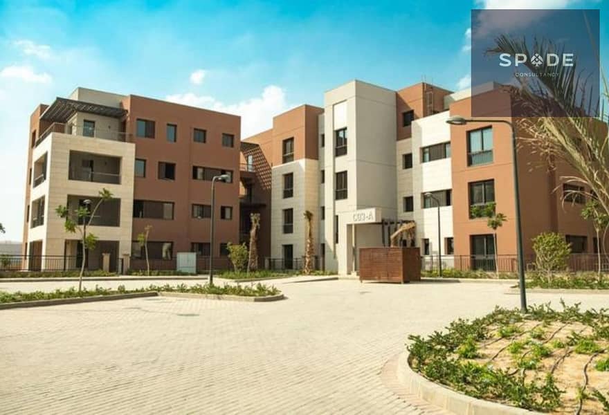 2 21c9a37d-e029-4624-b765-01e192a618e7. jpg