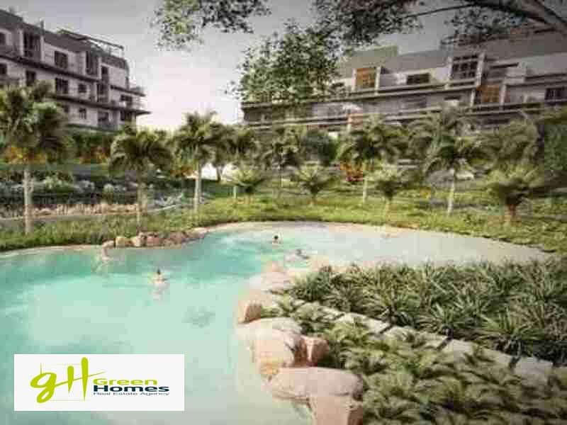 8 WhatsApp Image 2025-09-25 at 4.44. 21 PM (3). jpeg