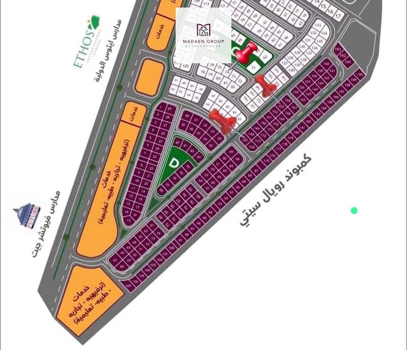 11 470025542_8894502763962695_1789169963971581031_n. jpg