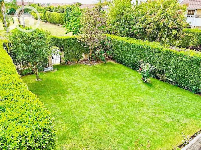 8 499137979_122224312766197794_3423173932978903367_n. jpg