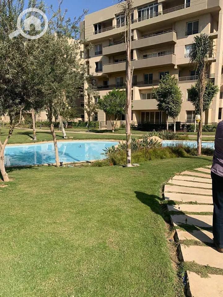 2 555522956_24636572209334170_7088332110726522652_n. jpg