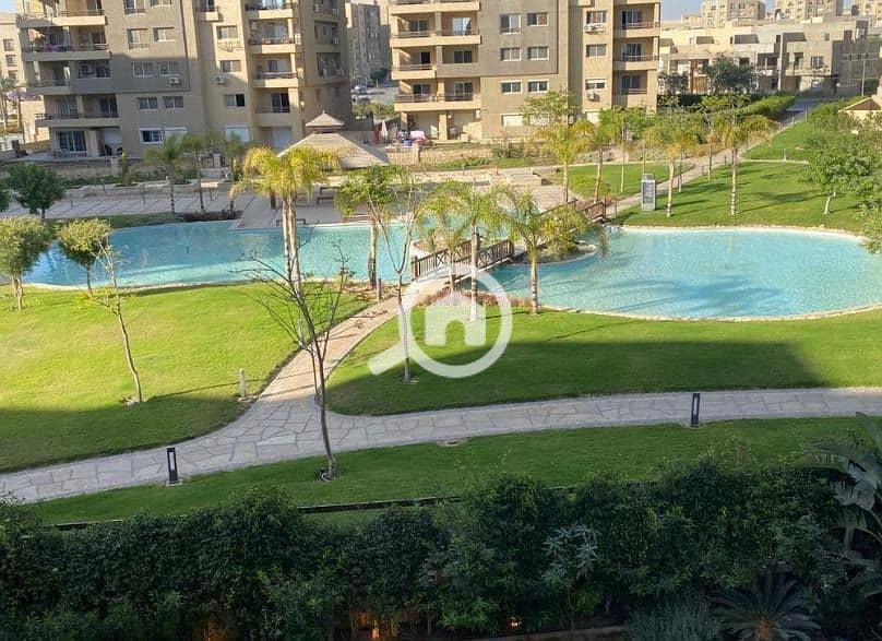 5 571112710_122149941590802164_2435981006419343629_n. jpg