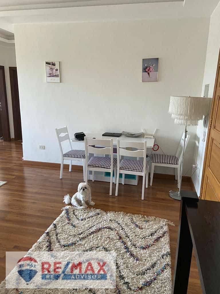 3 5994349735084935983. jpg