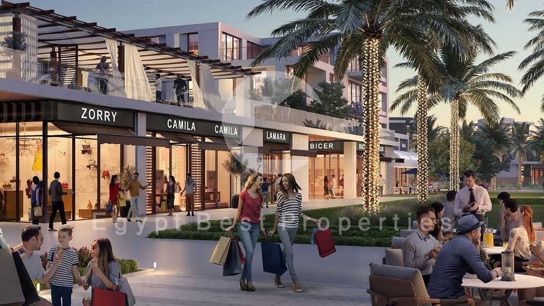 11 كايرو-جيت-الشيخ-زايد-5. jpg