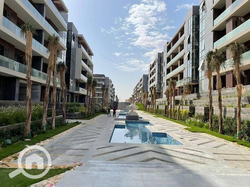 13 347253901_708727247932715_1783067824019920610_n. jpg