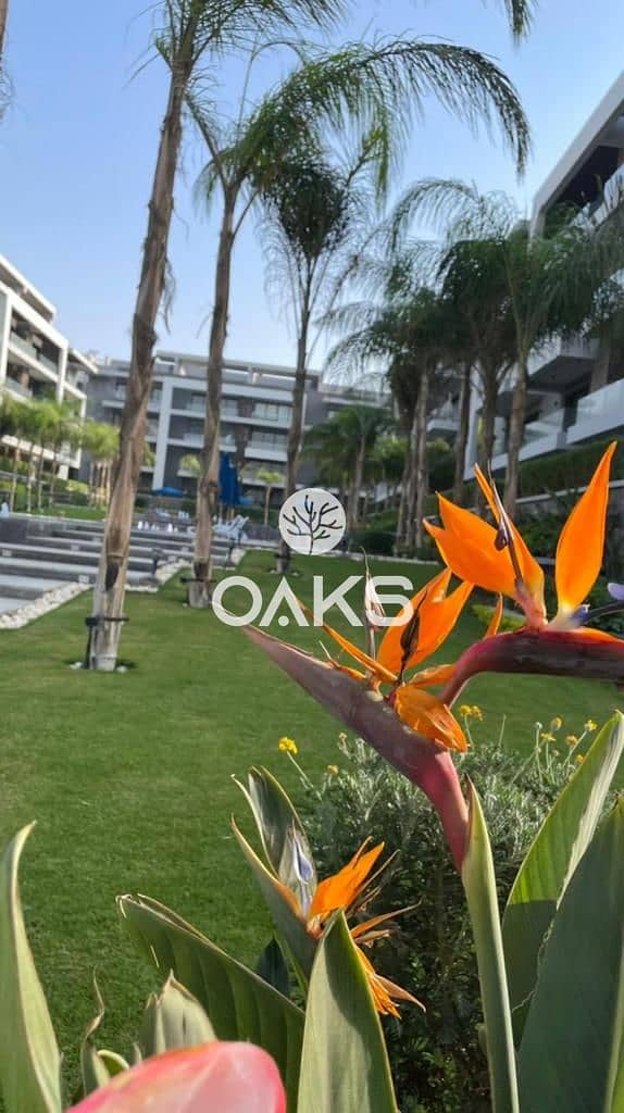 10 WhatsApp Image 2022-10-18 at 12.42. 14 PM. jpeg