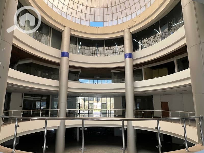 8 Generated Image September 23, 2025 - 2_06PM. png