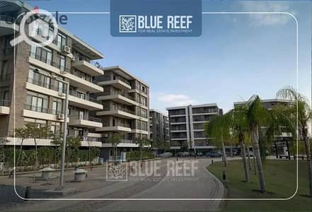 فلیٹ 3 غرف نوم للبيع في القاهرة الجديدة، القاهرة - WhatsApp Image 2025-11-10 at 3.10. 30 PM. jpeg