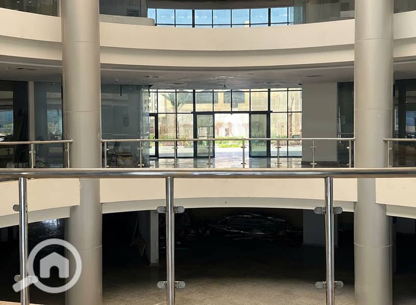 8 Generated Image September 23, 2025 - 1_55PM. png