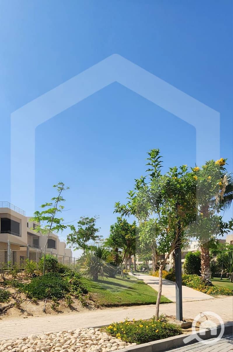 10 The Crown 10. jpg