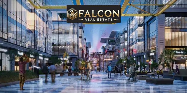 4 WhatsApp Image 2024-11-28 at 2.02. 50 PM (1). jpeg