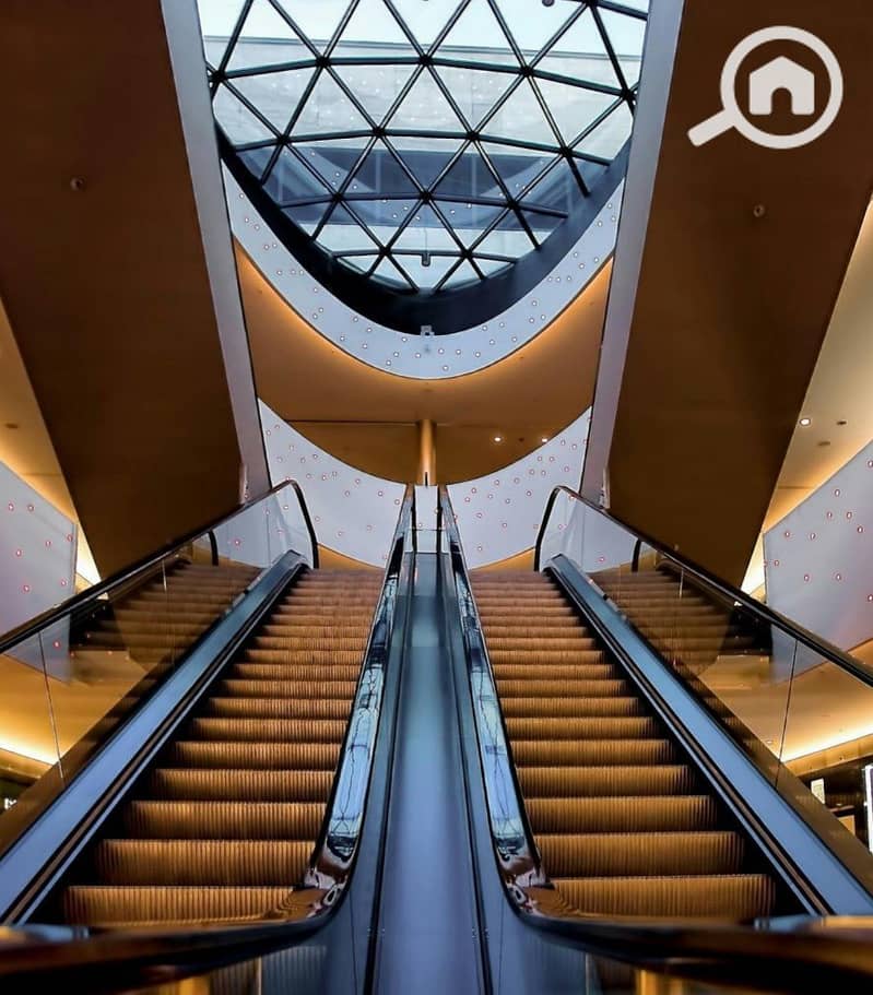 6 IMG_20251110_144109. jpg