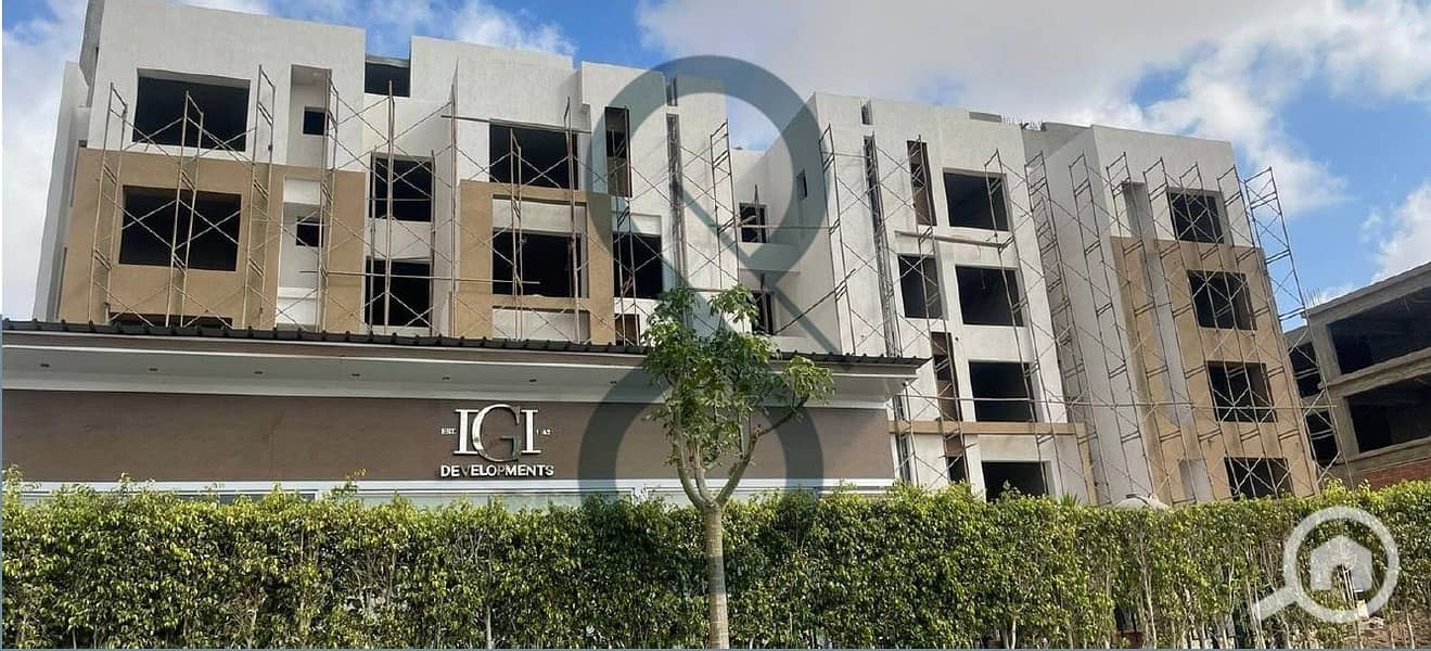 4 PHOTO-2025-11-09-17-22-22. jpeg