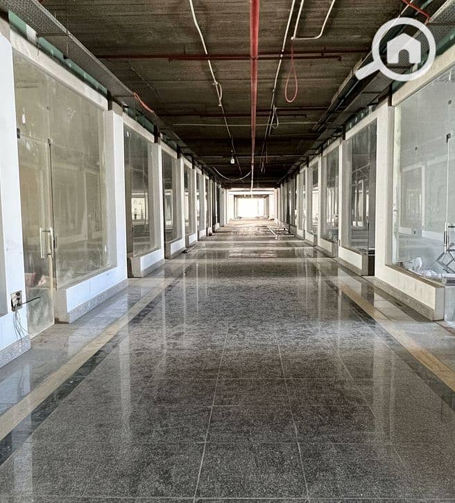 7 Generated Image September 15, 2025 - 2_26PM. png