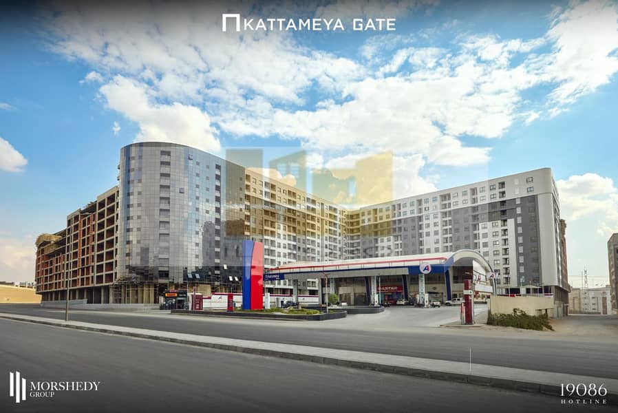 7 WhatsApp Image 2025-11-08 at 21.24. 37_9d8bf04c. jpg