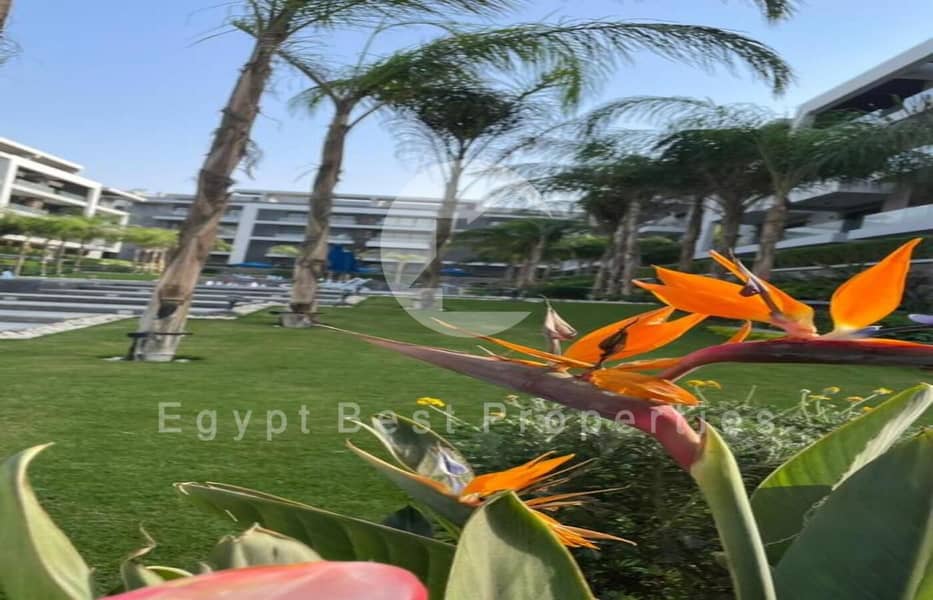 3 IMG-20250915-WA0059. jpg