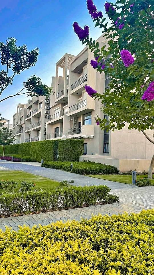 7 565639626_2358192027986705_3240168862601254147_n. jpg