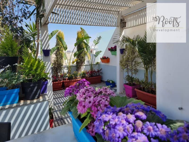 12 571234385_2526257047740584_5563557817293289546_n. jpg