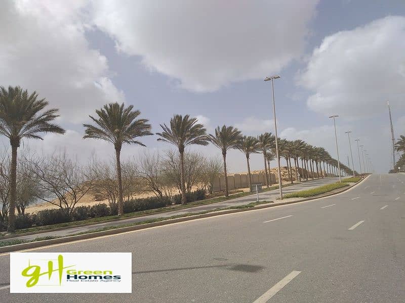 7 IMG_20200306_133802. jpg