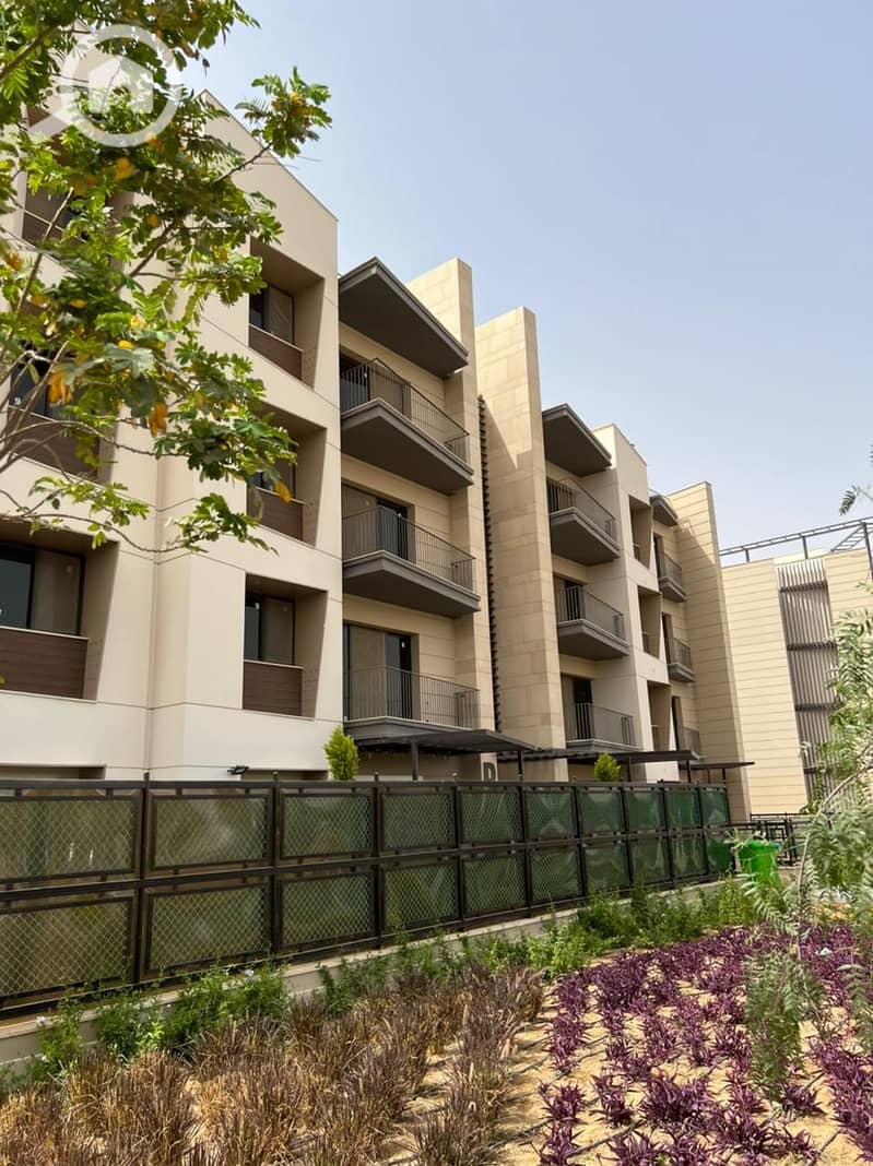 10 WhatsApp Image 2024-05-29 at 20.27. 29_45a79cb6. jpg