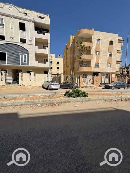 2 kN4psyrqLINkx287LNtvA274ca1ikOCiT9R9cQUx (1). jpg