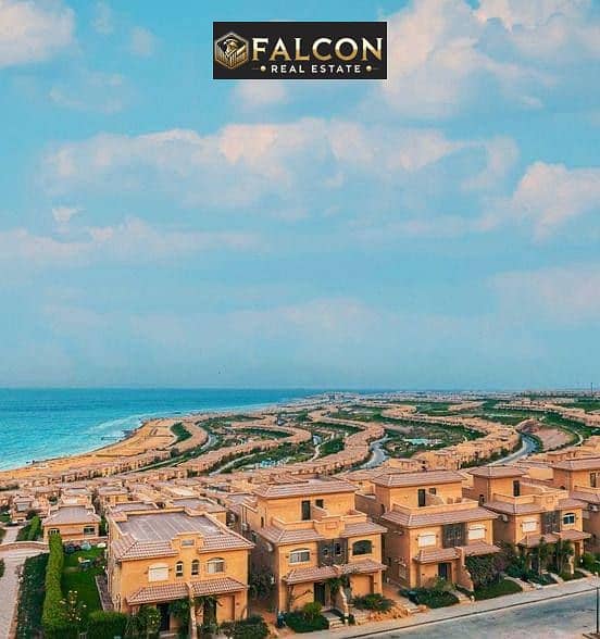 2 5893284838167922140. jpg