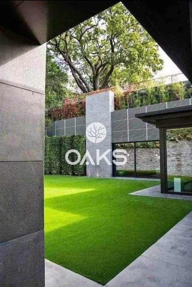 6 475987520_28275404985436213_4231640483580325448_n. jpg