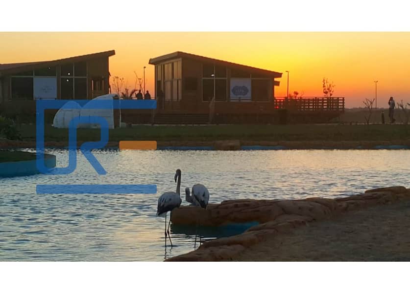 24 WhatsApp Image 2019-10-30 at 4.26. 10 PM (1). jpg