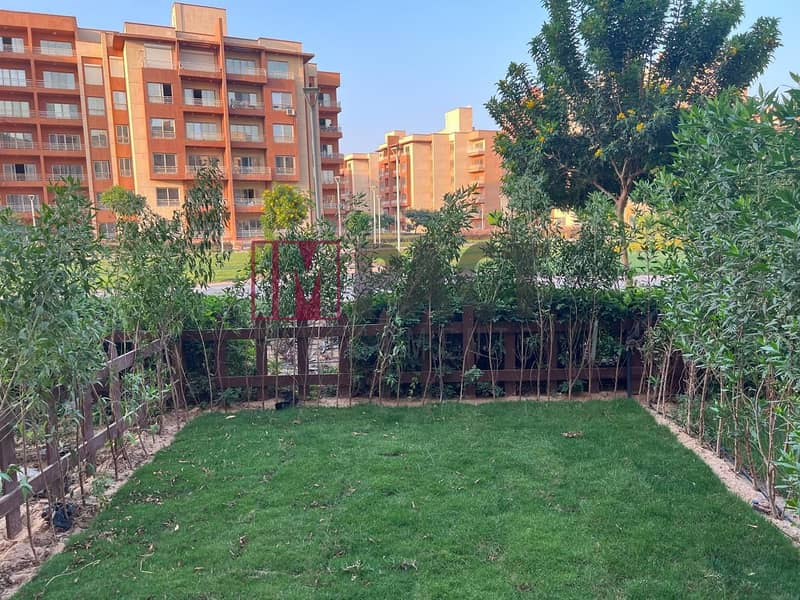 2 41d53819-1b25-4dfb-bef2-2e967fcbb6b8. jpeg