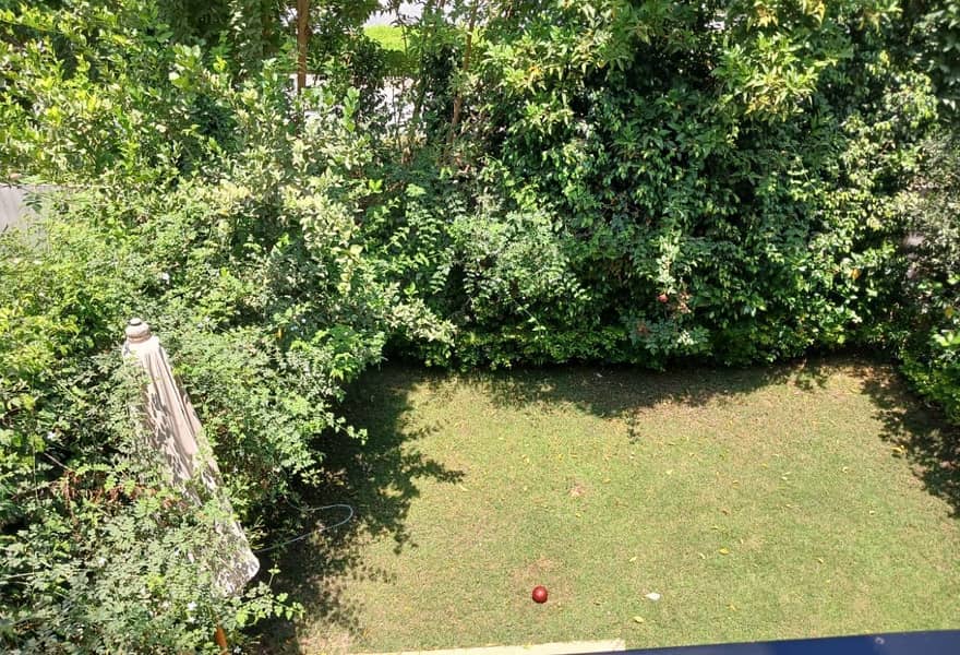 10 fe9997d2-c410-4c15-81c8-f88983669766. jpg