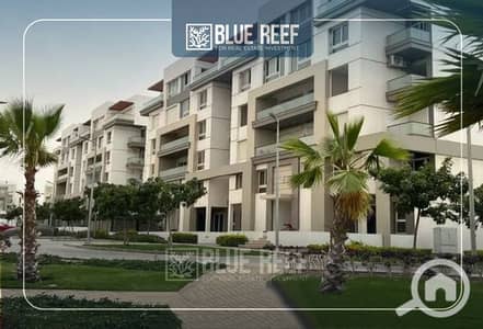 3 Bedroom Apartment for Sale in New Cairo, Cairo - WhatsApp Image 2025-11-06 at 3.14. 01 PM (1). jpeg