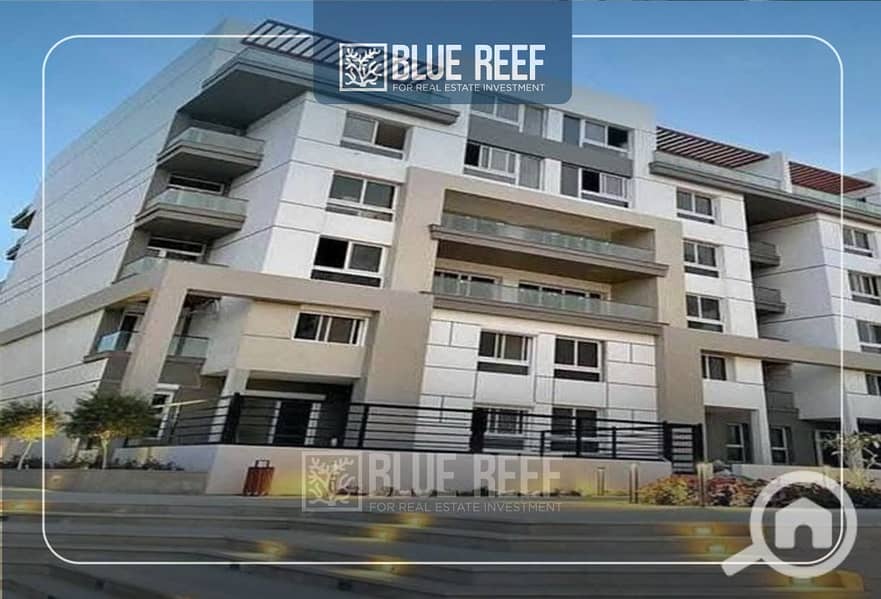 4 WhatsApp Image 2025-11-06 at 3.13. 58 PM (2). jpeg