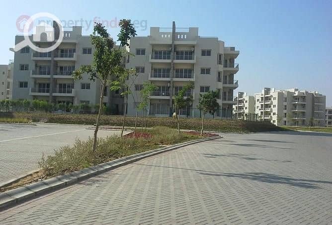 3 IMG-20251013-WA0065. jpg