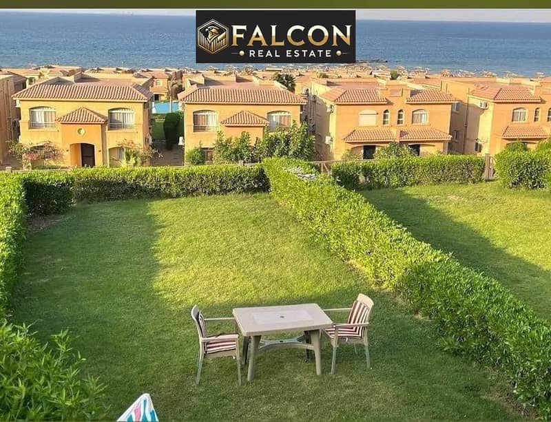 7 photo_5924672957383296528_y. jpg